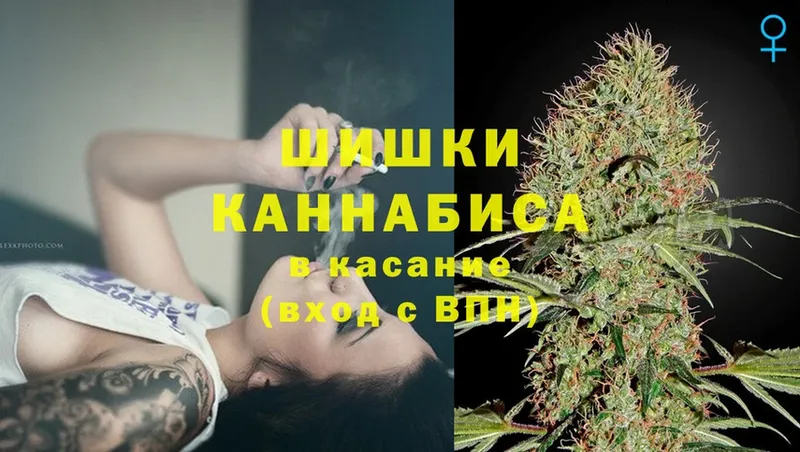 Конопля THC 21%  дарнет шоп  Звенигово 